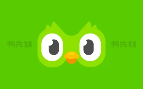 多邻国 v5.155.3 Duolingo语言，免费学习外语，解锁付费版-大海资源库