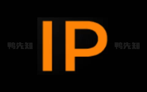 IP Tools v8.99 IP查询工具，ping工具，解锁高级版