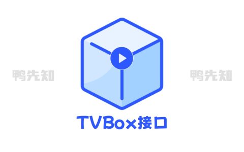 TVBox接口配置地址，新一期长期维护更新，超稳接口推荐