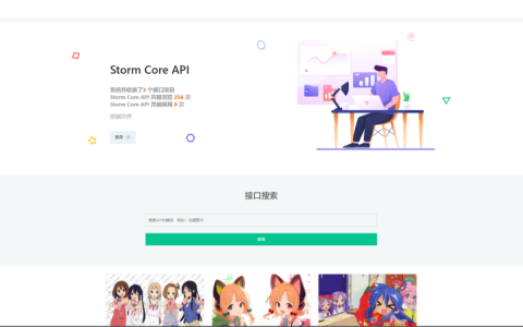 Storm Core API V1.1免授权版 强大的api管理系统源码